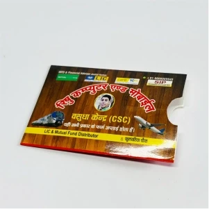 Customized Glossy ATM Paper Pouch Printing in India