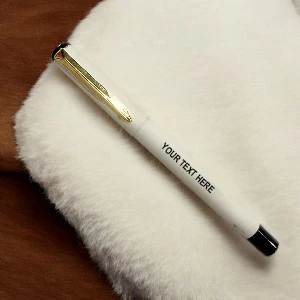 Customized Corporate Plastic Pens Printing in India | RENSNP124