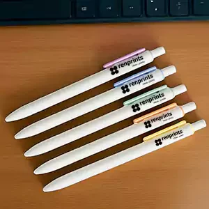 RENBMP101
