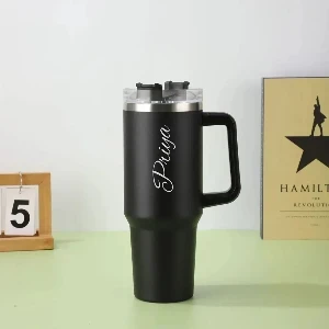 Insulated Steel Handle Lid Straw Bottle (RENBTL1024)
