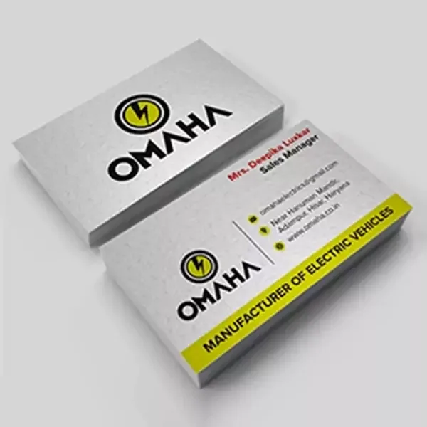 Silver Metallic Visiting Card