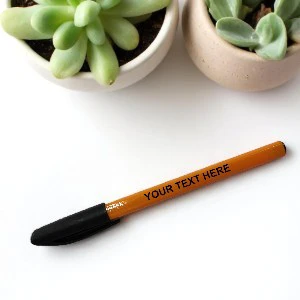 Customized Corporate Plastic Pens Printing in India | RENMAP115